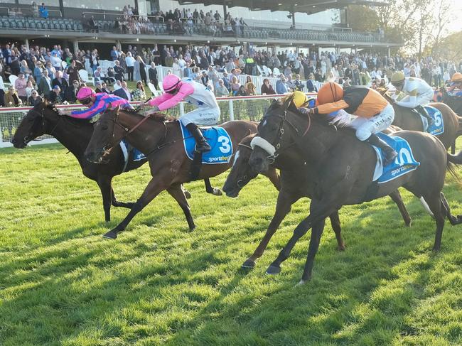 Maharba ridden by Michael McNab (NZ) wins the Sportsbet Hareeba Stakes at Mornington Racecourse on April 20, 2024 in Mornington, Australia. (Photo by George Sal/Racing Photos via Getty Images)