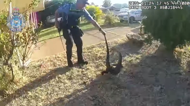 Police wrangles the lizard outside the property of the home. Picture: Facebook/Western Australia Police Force