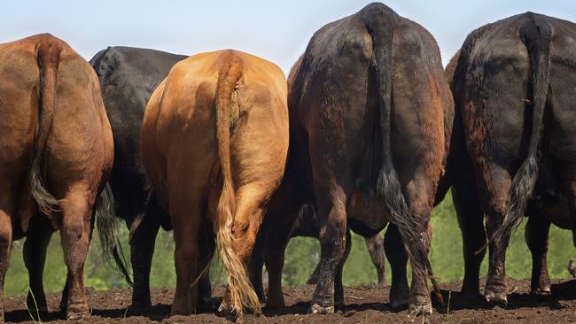 The cattle industry says it has cut greenhouse emissions.