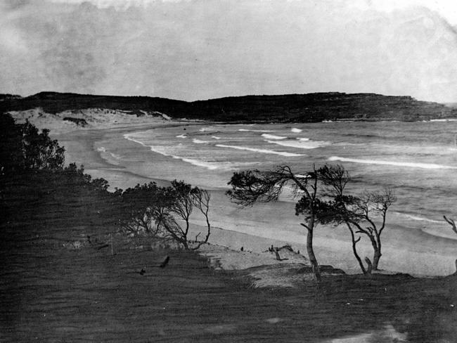 This may be the only photo of Bondi Beach with no people on it. After 1902, swimming at beaches became legal and the place has been chockers every day since. Photo: State Library of NSW