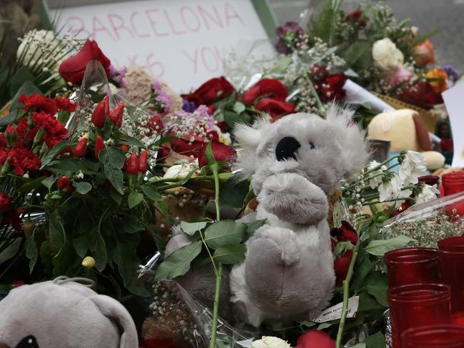 A stuffed koala left on Las Ramblas. Picture: Ella Pellegrini