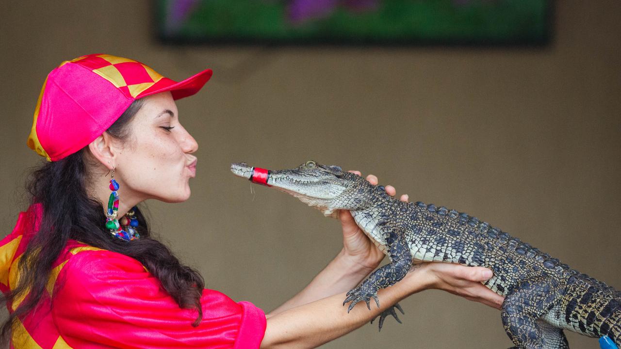 Croc racing at the Berry Springs Tavern for Melbourne Cup Day: Bartender and ‘jockey’ Gypsy Cass with one of the competing crocs. Picture: GLENN CAMPBELL