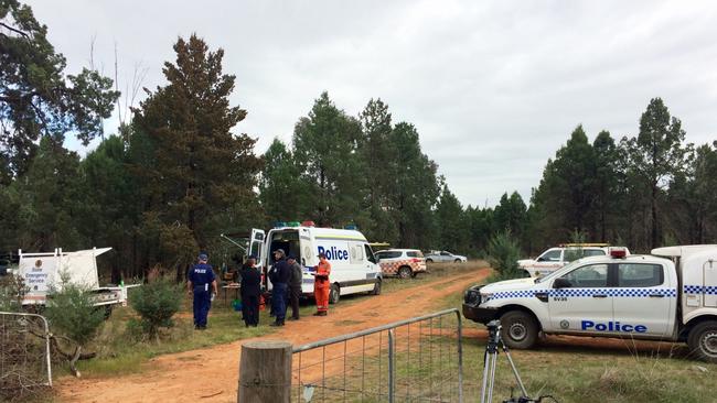 Police swarming the Lester State Forest in the search for Allecha. Picture: Supplied