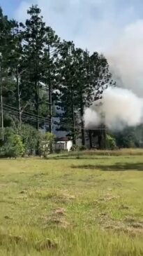 Watch: Lucky escape from burning cabin for woman and dog.