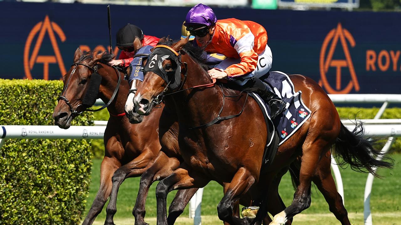 Shayne O’Cass’ Rosehill tips, race-by-race analysis