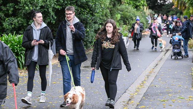 Million Paws Walk at Adelaide Botanic Gardens. Picture: Brenton Edwards