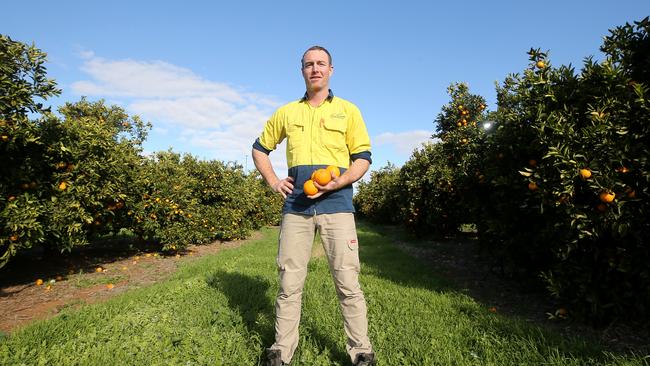 Chislett Farms owner Jonathan Chislett, Picture: Yuri Kouzmin