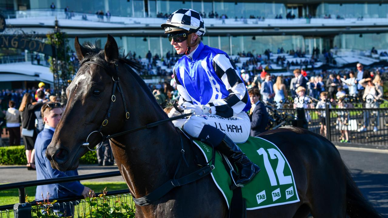 Gold Trip is primed for a wet Caulfield Cup. Picture: Getty Images