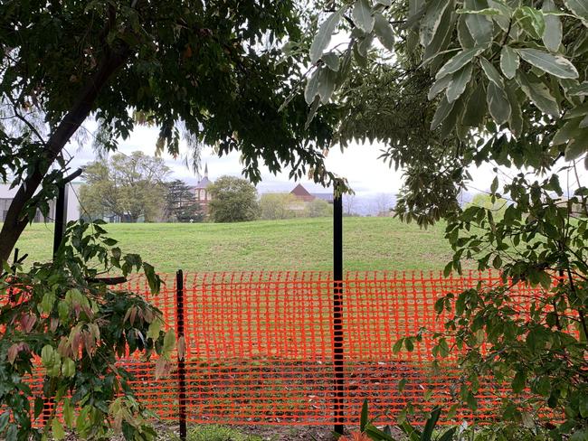 The view from Mr Gracey’s backyard is now obscured. Picture: Supplied