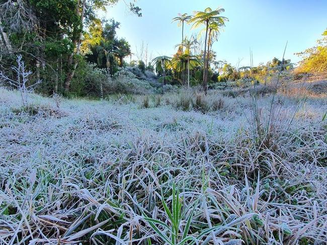 Temperatures dropped to -4 C in Crediton on Wednesday July 15. Cloudbreak Lowlines Cattle and Eungella Beef owner Mandy Tennent captured photos of the early morning frost. Mackay weather, cold, generic.