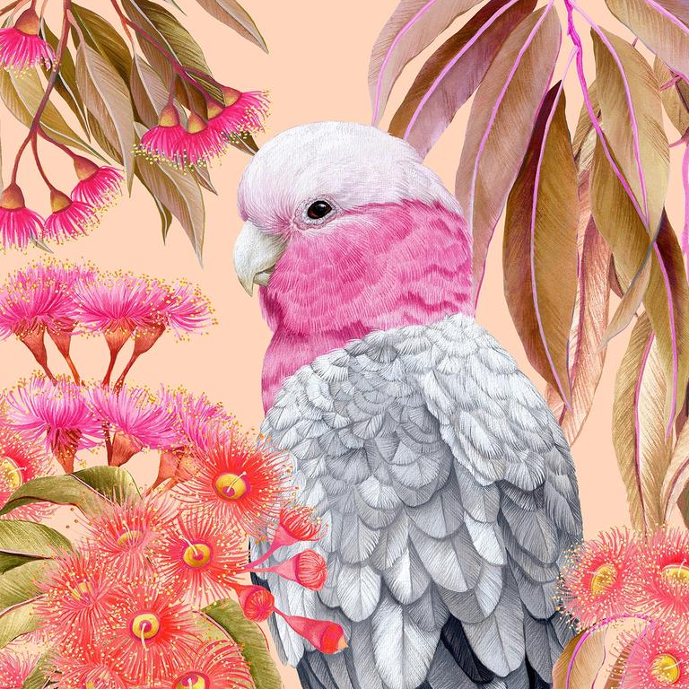 Townsville born textile designer Lauren Stringini is partnering with Myer for a new collection. Picture: Supplied