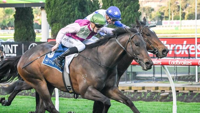 Mornington Glory knuckles down to win the Carlyon Stakes at The Valley on Saturday. Picture: Reg Ryan/Racing Photos via Getty Images