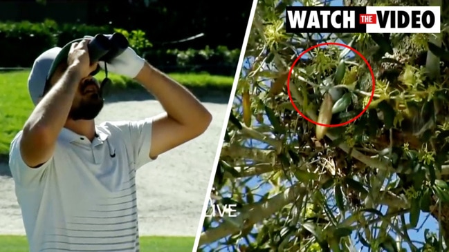 Golfer searches for lost ball using binoculars