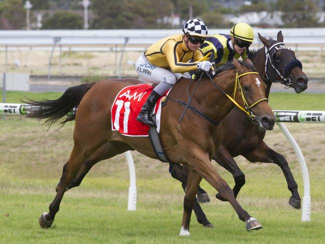 Jamie Kah guides Kenyan Wonder to victory at Morphettville. Picture: Atkins Photography