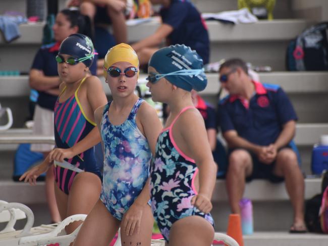 Beef City Swim Meet at 2nd World War Memorial Aquatic Centre, Rockhampton, on October 26, 2024. Photo: Pam McKay