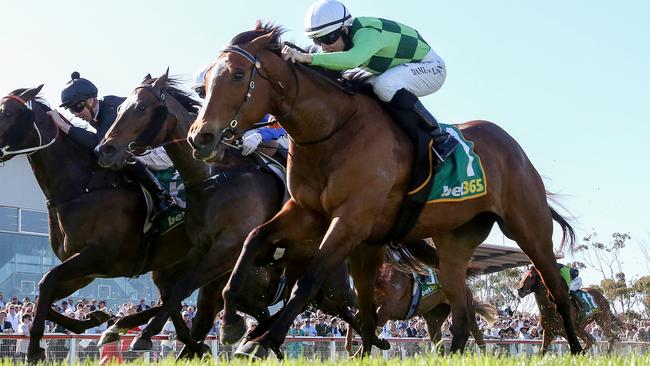 Talented mare Turaath will take on the males in the Group 2 Linlithgow Stakes (1400m) at Flemington on Saturday. Picture: Racing Photos via Getty Images