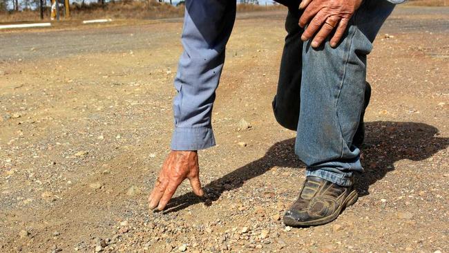 Medibank are extending their drought relief support to farmers until the end of the year. Picture: Marian Faa