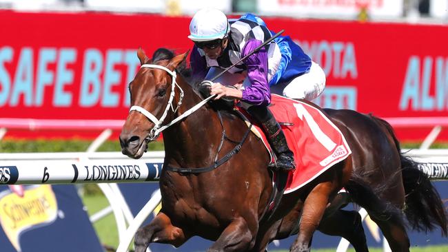 Osipenko is Chris Waller’s best chance in the Turnbull Stakes. Picture: Jeremy Ng/Getty Images