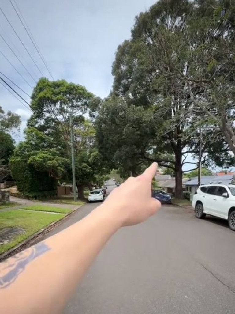 Mr Van Biljon pointing to the lush vegetation in comparatively older Sydney suburbs. Picture: TikTok via @lil_vb_