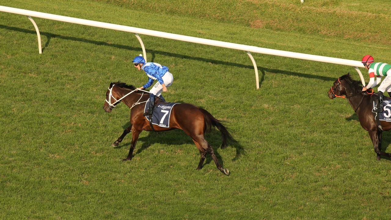 Winx won the final race of her career.
