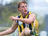 The handful of Zebras in frame for St Kilda rookie spot