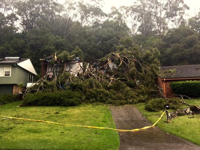 All that remains of Rankin Park house after falling tree split it in half. All the occupants escaped safely. Picture: Neil Keene
