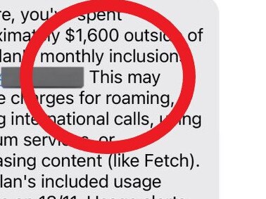An Optus customer has accused the telco of charging her extortionate fees for services she never used.