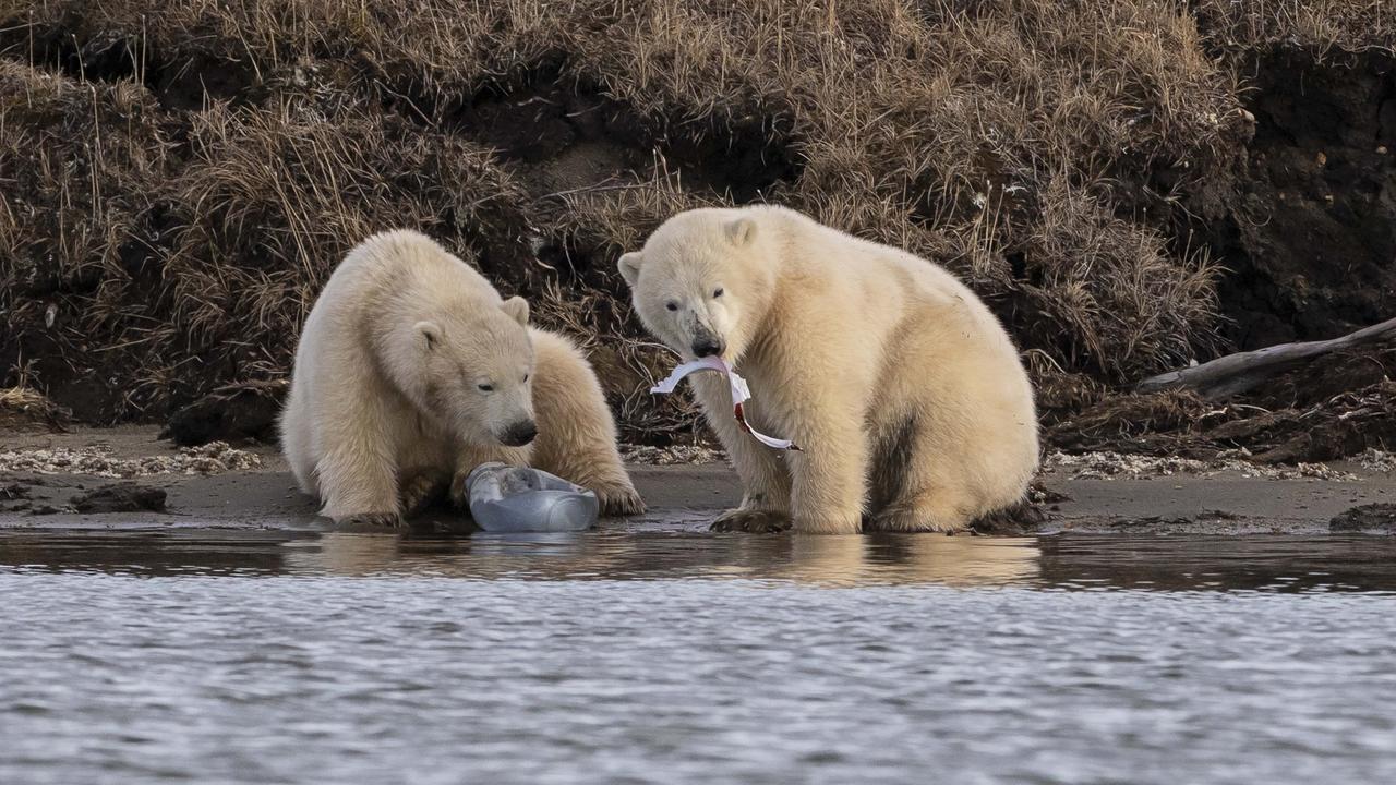 Cannot bear. Can't Bear.