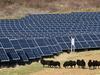 Green project approvals plummet