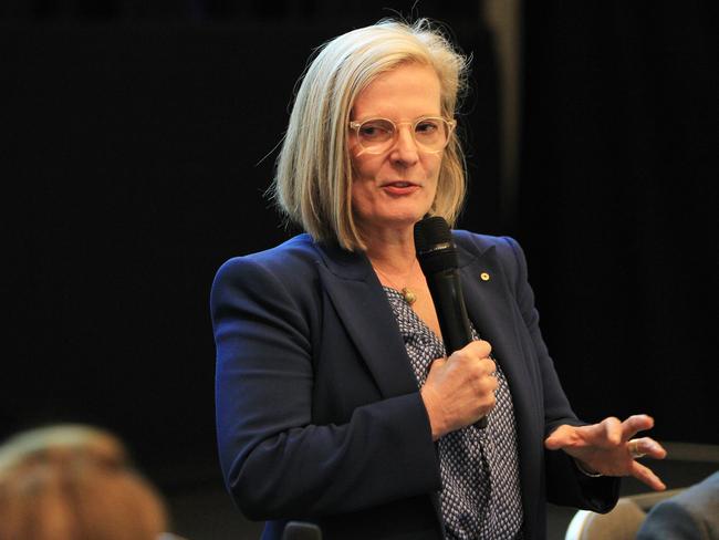 Greater Sydney Commissioner Lucy Turnbull has released plans for transport links between Norwest and Parramatta.