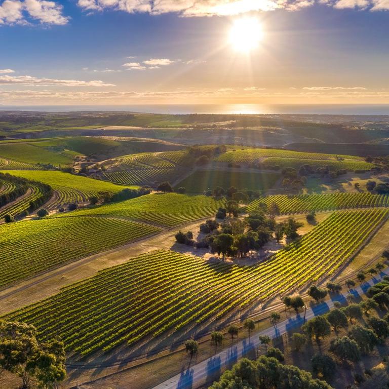 McLaren Vale in Adelaide is a must-visit.