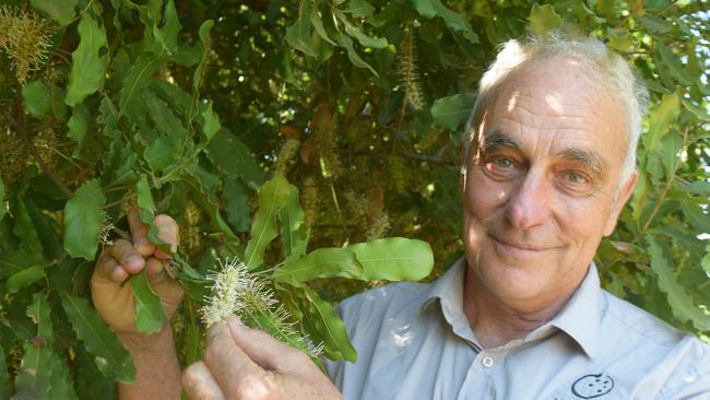 Chair of the National Farmers’ Federation’s horticulture council Jolyon Burnett. Photo: Zizi Averill