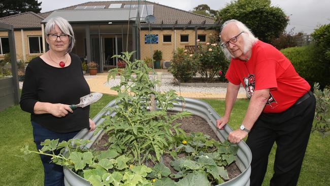 De facto couple Glenda MacNaughton and Patrick Hughes at their Wyndham St home of 11 years, which will be demolished to make way for drainage and some open space. Picture: Peter Ristevski