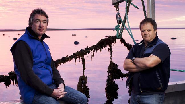 Eyre Peninsula Seafoods owners Mark Andrews and Andrew Puglisi. Picture: Supplied