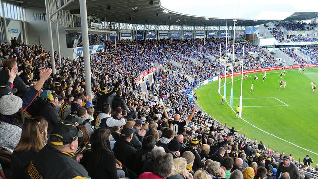 Nearly half of all Tasmania would go and watch the club play in the AFL, new polling has shown.