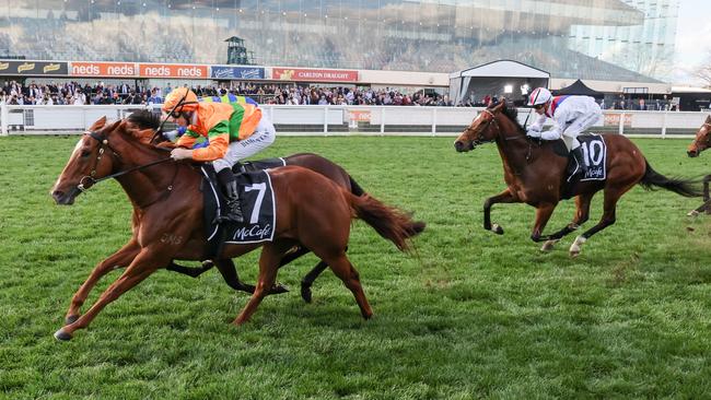 Shooting For Gold is a stakes winner in Victoria. Picture: George Sal/Racing Photos via Getty Images