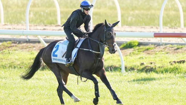 Spanish Mission is ridden by Craig Williams during a trackwork session at Werribee ahead of Tuesday’s Melbourne Cup. Picture: Racing Photos via Getty Images