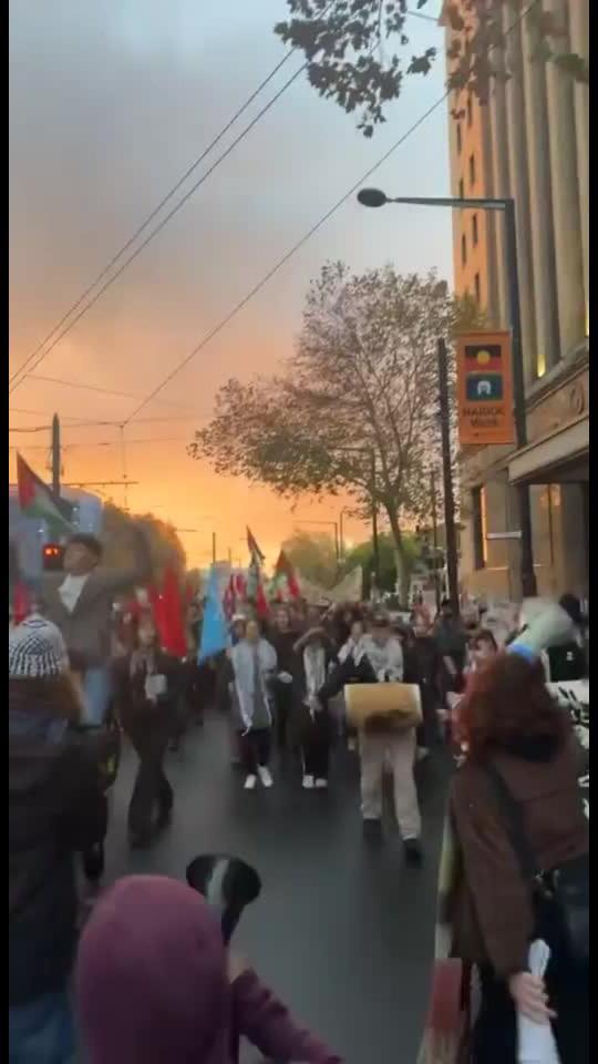 Adelaide Protest - Greta Aid