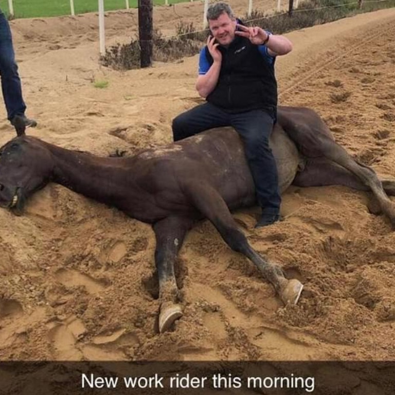 Horse Racing Gordon Elliott Photo Trainer Suspended