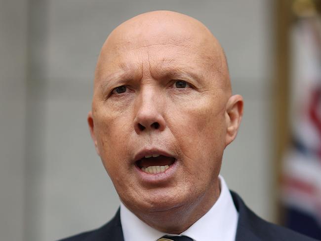 Dutton sole witness in defame suit