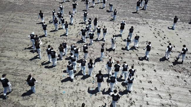 More than 100 animal activists allegedly invaded a Lemontree feedlot and dairy at Millmerran on Queensland’s Darling Downs. Picture: Animal Liberation Photography