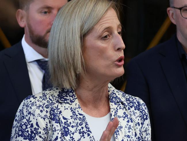 Shadow finance minister Katy Gallagher said she didn’t want to support ‘Barnaby’s slush fund’.