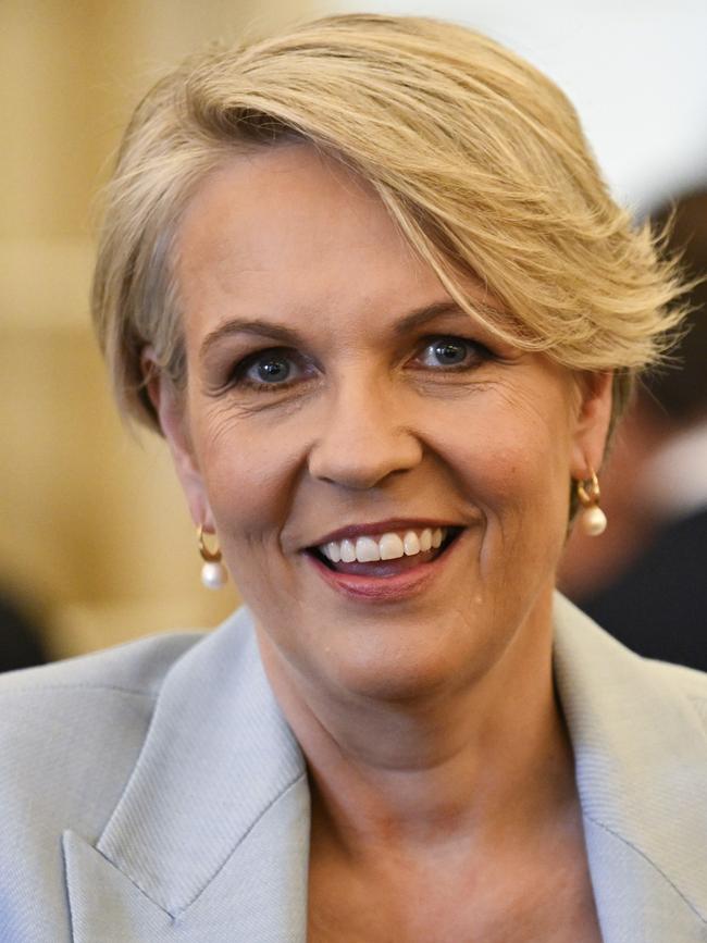 … and fell out with Tanya Plibersek from his own NSW Left faction, angry that she’d agreed to stand as Shorten’s running mate. Pictures: NewsWire / Martin Ollman