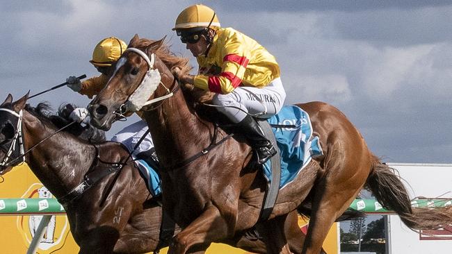 Jockey Matthew McGuren looks set for a big day at Ballina on Sunday. Picture: Greg Irvine, Magic Millions