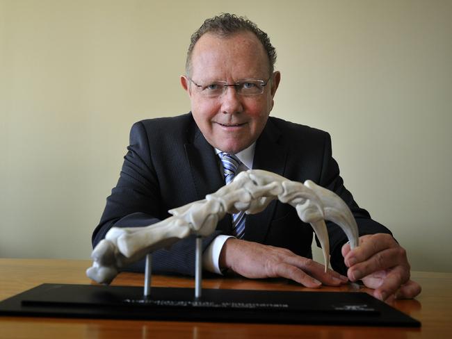 Former Myer chairman Bill Wavish at his office in Brisbane. Wavish presented Queensland Premier Bligh with a replica claw from a Australovenator Wintonensis (Carnivorous Dinosour) which was discovered at a dig in Winton, Victoria.