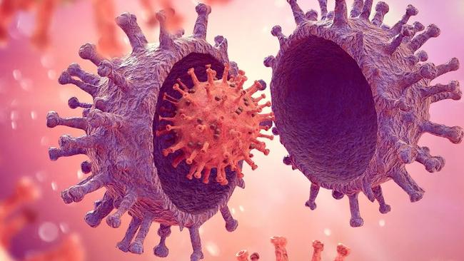 The NB. 1.8.1 variant is set to become the dominant strain in Australia. Picture: Supplied