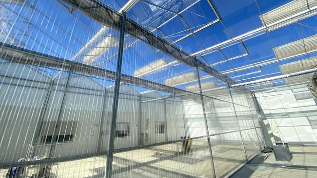 The CannaPacific production facility near Lismore includes a 10,000 sqm Dutch glasshouse and high-security outdoor cultivation area.