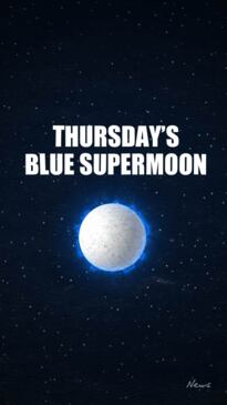 Blue supermoon vertical