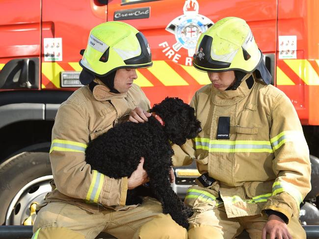 Boris with fireys. Picture: Supplied