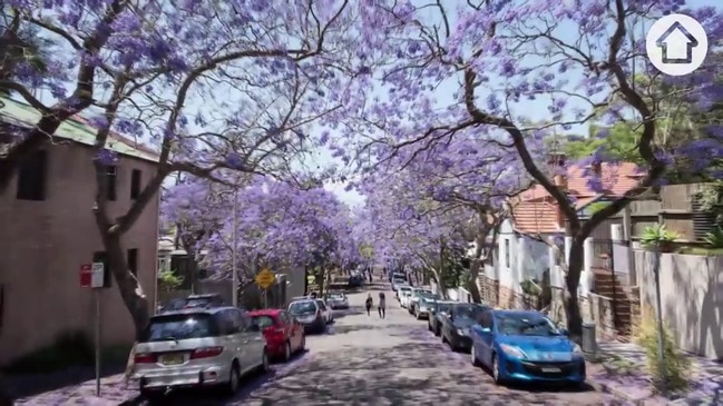 Is this Sydney's most Instagrammed street?